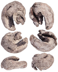 driftwood set design elements isolated