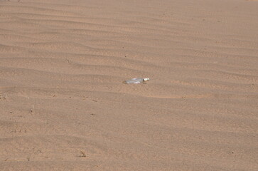 footprints in the sand