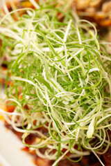 green salad, sliced green onion
