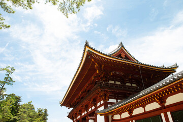 Japanese traditional cultural architecture, sky background