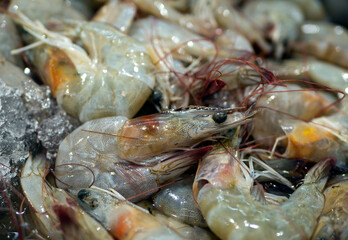 Udang, fresh shrimp, Littopenaeus vannamei, on the ice in the supermarket in Yogyakarta, Indonesia.