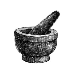 Mortar and pestle sketch. Vintage design element for herbal medicine, Halloween, witchcraft, magic, alchemy. Hand drawn kitchen vector illustration. Retro style. - obrazy, fototapety, plakaty