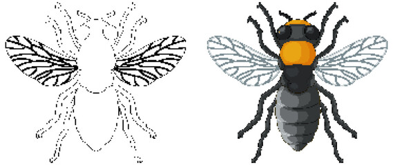 Bee Insect Outline for Colouring