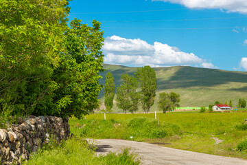  Footpath road along a green mountain landscape and meadow with a blue sky. Cayirtepe Erzurum Turkey