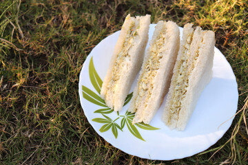 Simple cheese and chutney sandwich served with tomato ketchup and green mint and coriander sauce. garden lawn background. Flatlay or top view. Tea time white bread sandwiches with copy space.