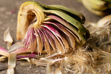 Sliced artichokes, food ingredients,cut artichoke plant