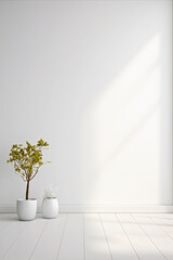 White studio wall with minimalist interior. Copy space.