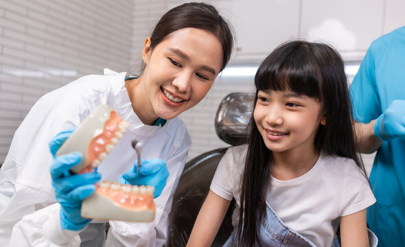 Female asain dentist holding tooth model and talking to child in dental clinic.