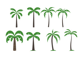 Fototapeta na wymiar Palm tree vector set isolated on white background