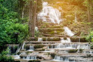 Natural waterfall view flowing through the rocky mountain with tropical forest and moss in sun light effect and dark green tone