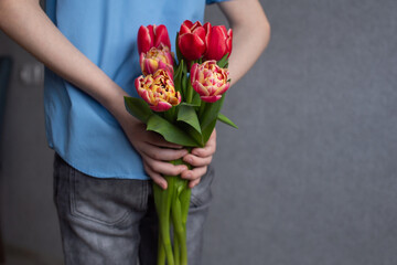 Behind the back of the child are colorful red tulips. Boy hiding flowers behind his back