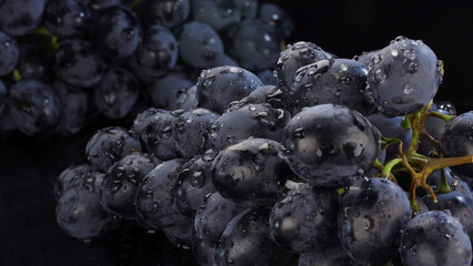 Details of fresh dark grapes with water drops, close-up