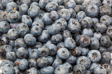 Blueberry blue background. Photo. Horizontal