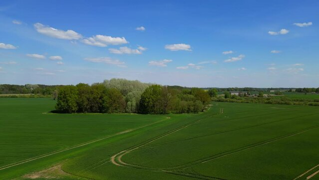 Flying over a rural country with dark green fields of young crops
