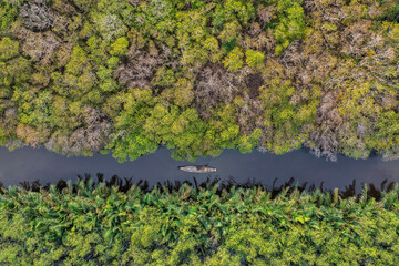 Ru Cha mangroves, Thua Thien Hue, Vietnam