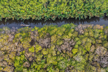Ru Cha mangroves, Thua Thien Hue, Vietnam