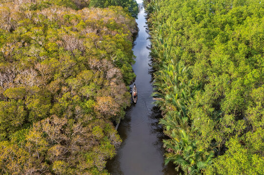 Ru Cha mangroves, Thua Thien Hue, Vietnam