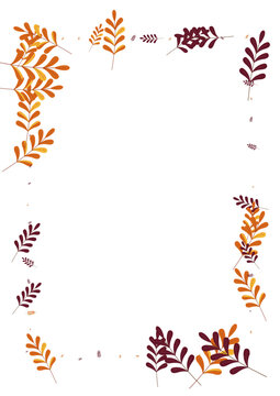 Orange Leaf Background White Vector. Leaves Poster Set. Brown Plant. Golden Herb Elm. Label Frame.