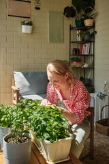 a woman grows and cares for plants, strawberries in her home