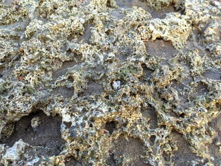 Detailed rock texture on the beach, close-up shot of rock wall surface. Abstract stone background.