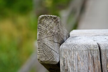 Wooden railing close-up. Tree structure. Selective focus.