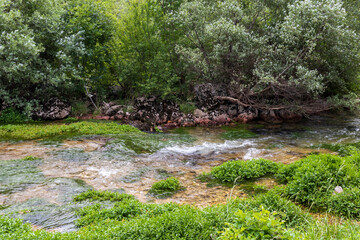 adriatic, beautiful, blue, cave, cetina, cetina river spring, church, countryside, creek, croatia, dalmatia, environment, flowing, freshwater, green, karst, lake, landscape, mediterranean, natural, na