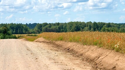 Rural road along the field. Leveled dirt road.. Selective focus.