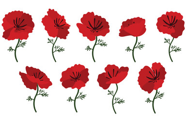 poppy flowers background.Eps 10 vector.
