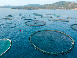 Aerial drone footage of aquaculture fish farming unit of sea bass and sea bream in growing cages in...