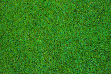 overhead of the green grass of a soccer field or golf course for background or texture.Green grass...