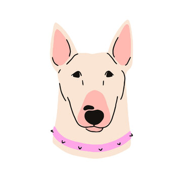 Bull terrier, canine animal avatar. Cute dog of Bully breed, head portrait. Bullterrier doggy. Purebred companion puppy, pet muzzle in collar. Flat vector illustration isolated on white background