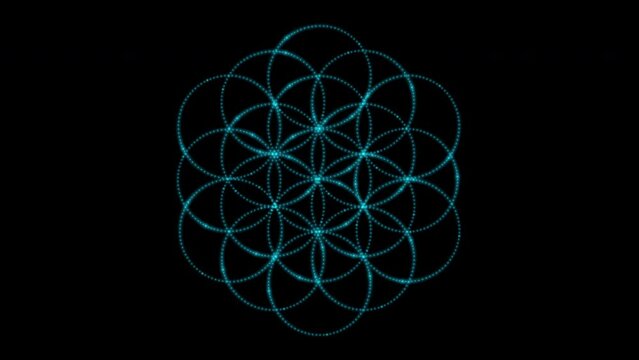 Flower of life made of small neon blinking dots isolated on black background. Sacred geometry. 4k loop video animation 60 fps.