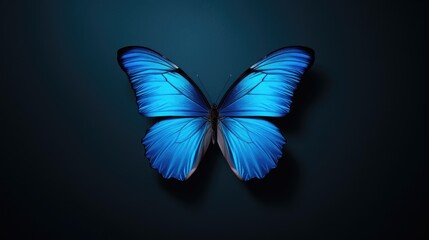 Butterfly isolated on white background, generative ai