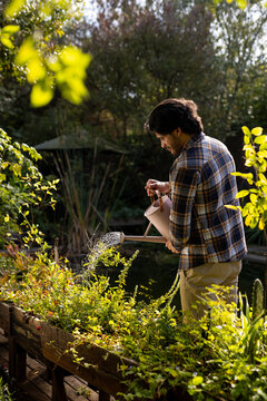 Happy indian man watering plants in sunny garden, copy space