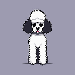 dog poodle pet white illustration, vector