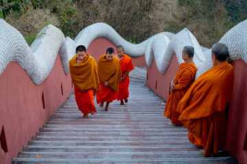 Senior monks stand and look to young monks during they walk on stair of the temple up to chapel or church to do some activity in early morning. - Powered by Adobe