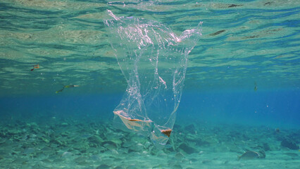 Plastic bag floating underwater. Transparent plastic bag drifts under surface of water, tropical...