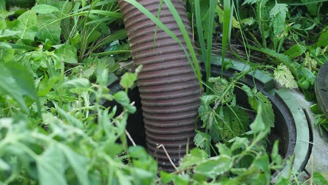 a pipe for pumping out sewage and feces in the manhole of a well, a pump for pumping out sewage. A machine pumping out sewage in the summer