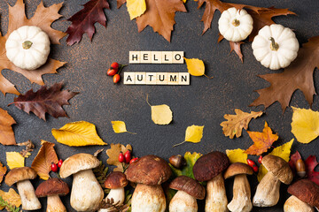 Obraz na płótnie Canvas Hello Autumn card. Mushrooms Boletus, pumpkin, wild berries and autumn leaves on autumnal background. Autumn composition. Fall season mood mushrooms picked. Top view