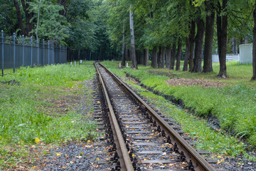Fototapeta premium Narrow gauge railway passing through a dense shady park