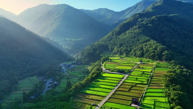 amazing morning in the mountains in Japan, aerial view of terraced rice fields in Japanese mountains near Shirakawago village, tourism in Japan