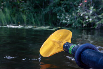 
An oar with a yellow blade is held above the water against a background of green trees