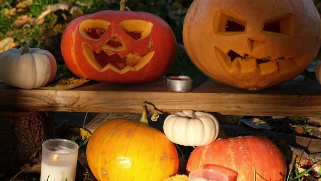 Halloween Pumpkin Head with Carved Scary Smiling Face on Wood Bench Outside. Jack-O-Lantern, Burning Candles, Dried Leaves Outdoors. Halloween Composition for Backyard Decor. Pumpkins. All Saints Day.