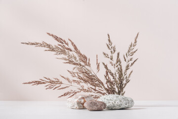 Podium stones on light beige background with plants. Background for the presentation of natural...