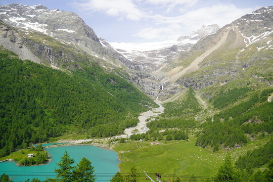 Alp Gr&uuml;m 