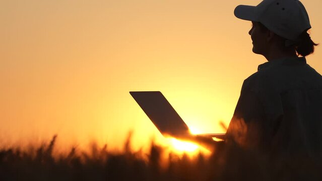Silhouette of female farmer with laptop in wheat field at sunset