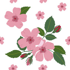 Seamless vector flower pattern wild roses, 