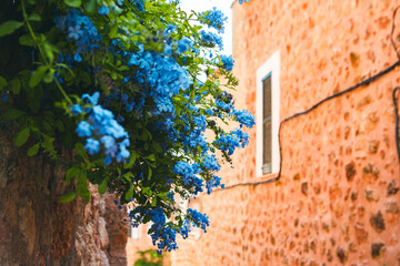 View of a medieval street in the Old Town of the picturesque Spanish-style village Fornalutx, Majorca or Mallorca island