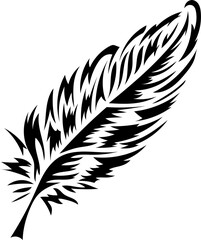 Obraz premium feather isolated on white