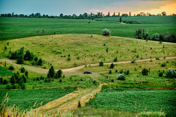 Summer landscape with green fields. - 629892991